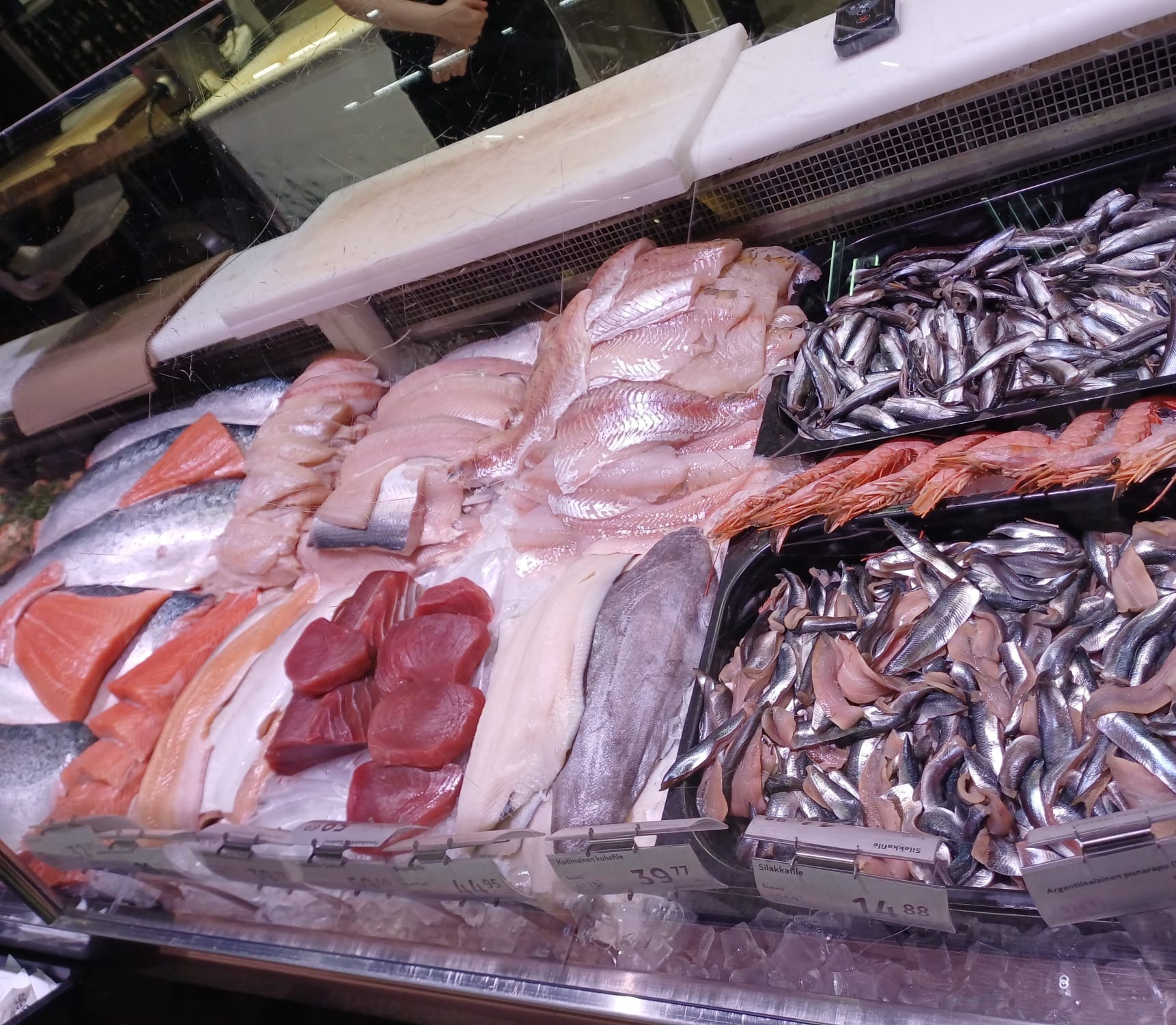 salmone
