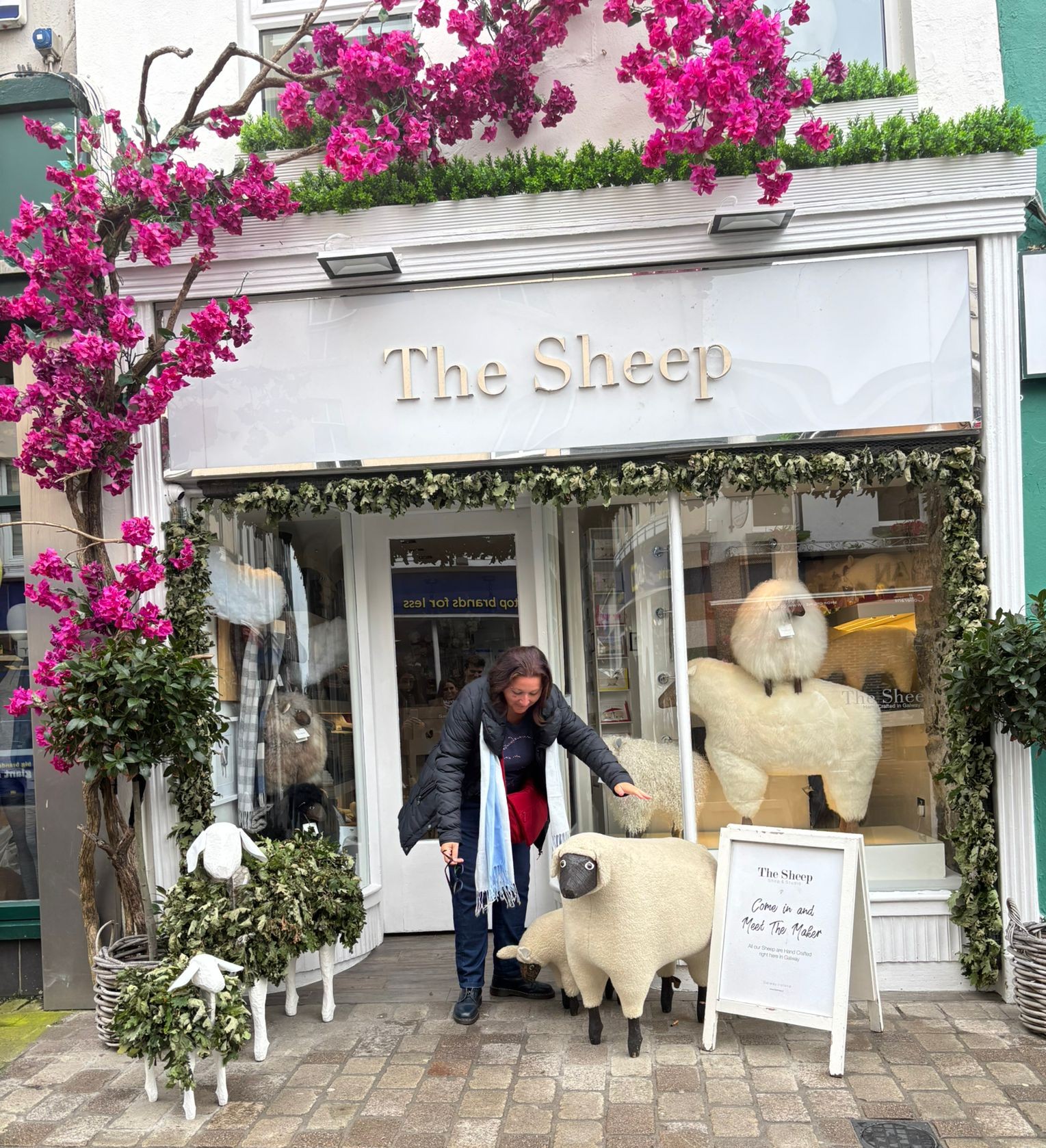 sheep